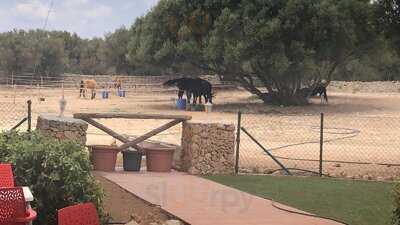 Restaurante - Pizzería Il Massone Menorca