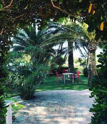 Restaurante - Pizzería Il Massone Menorca