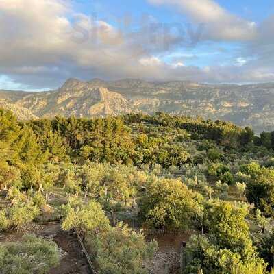 Restaurante Mirador De Ses Barques
