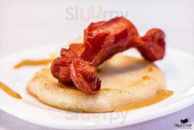 Bar Holandés Errante