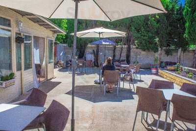 Bar Holandés Errante