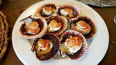 Abrasador Gaia A Casa Da Corredoira