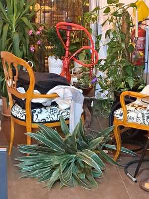 One By One Food & Drinks