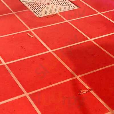 Be Trips By Pablo González