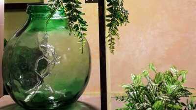 La Casa Verde Restaurante