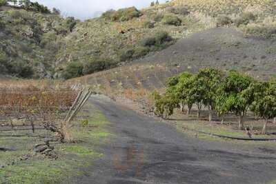 Bochinche Los Lirios