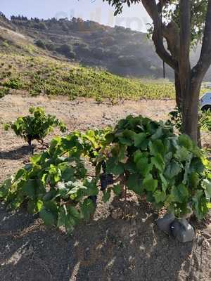 Bochinche Los Lirios