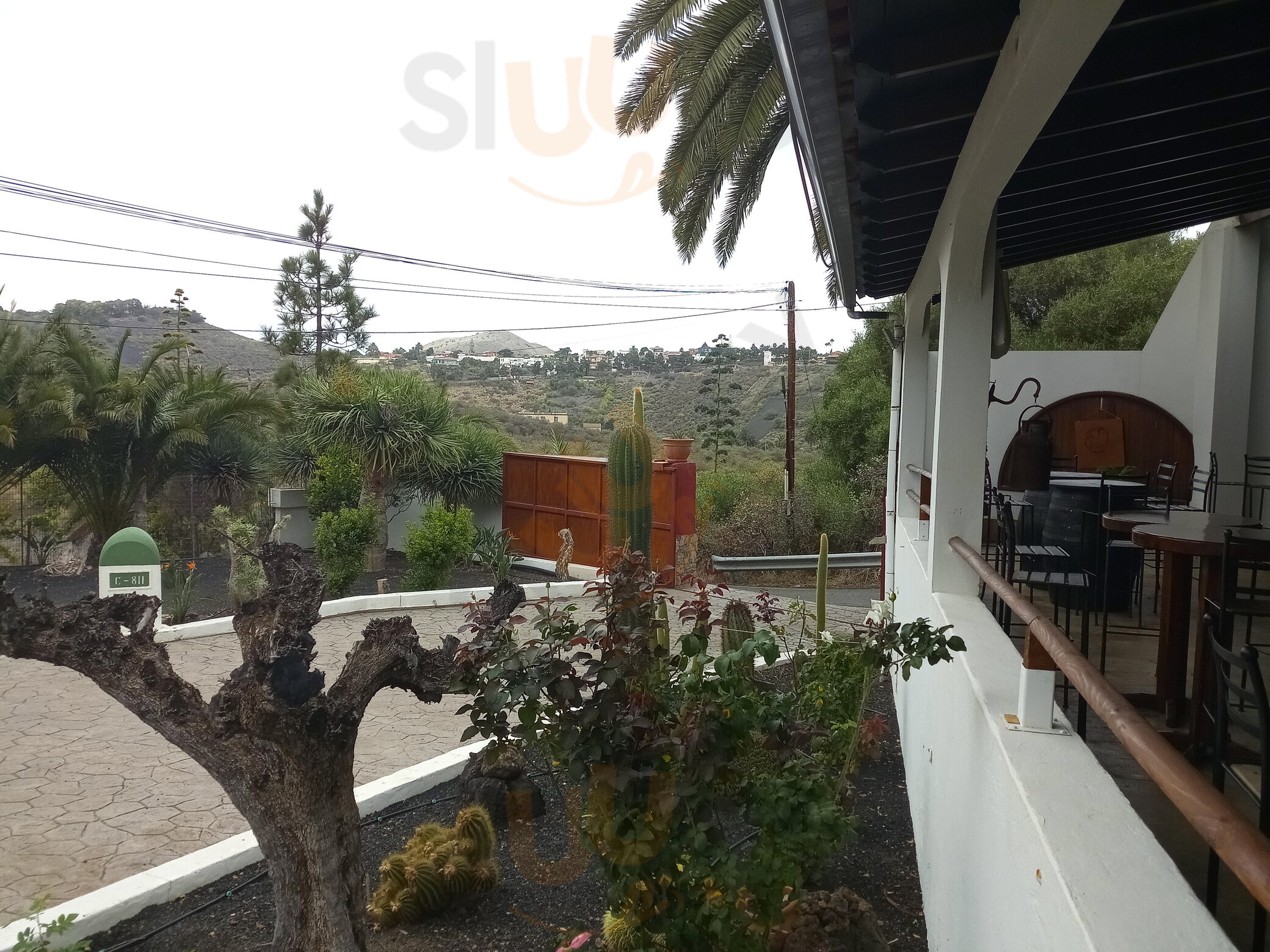 Bochinche Los Lirios