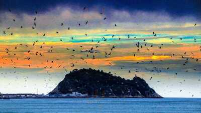 El Ratón De Getaria