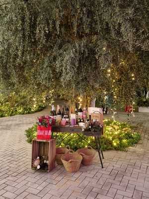 Cenas En Siempre Verde