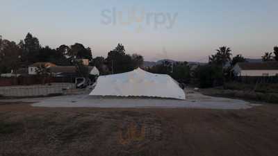 Cenas En Siempre Verde