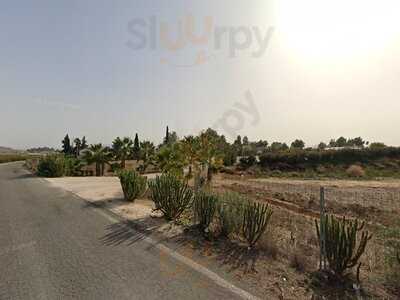 Cenas En Siempre Verde