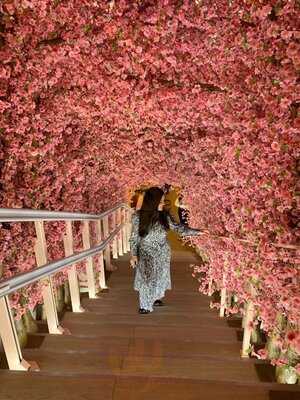 Bloom De Salvador Bachiller