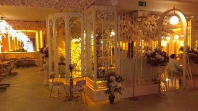 Bloom De Salvador Bachiller