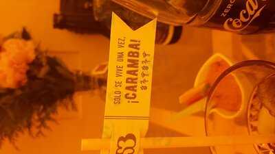 Bloom De Salvador Bachiller