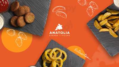 Anatolia Kebabs Y Pizzas El Carmen