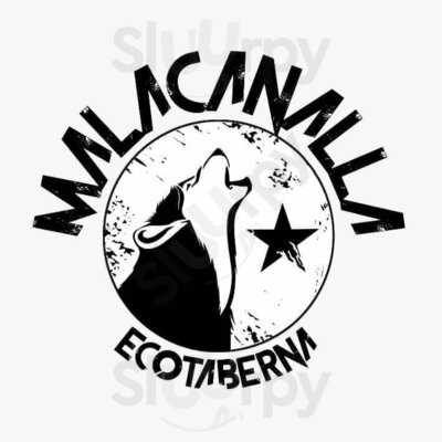 Malacanalla Ecotaberna