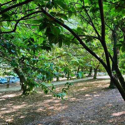 Café Bar Granxa Do Xesto