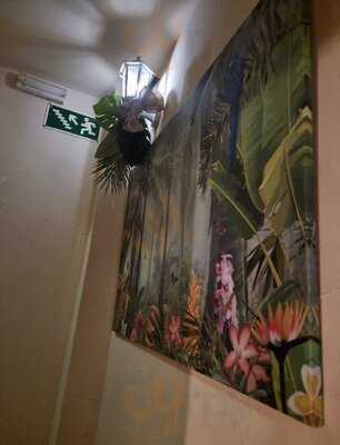 La Terraza By La Zamorana