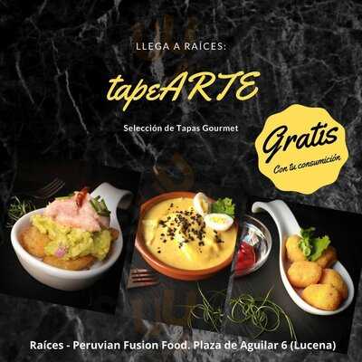 Raices Peruvian Fusion Food