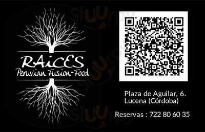 Raices Peruvian Fusion Food