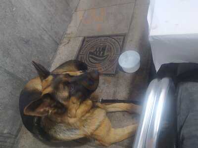 Sidreria Casa Mari Cudillero