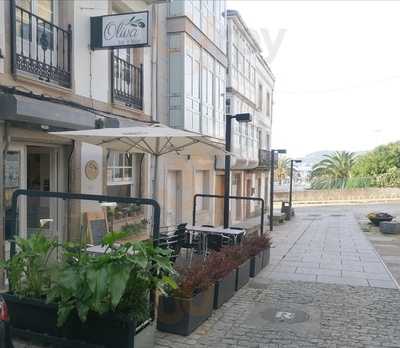 La Oliva Bar E Levar