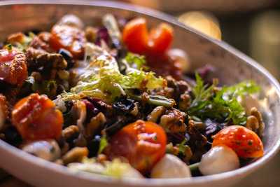 Jenkin's - Blasco Ibáñez