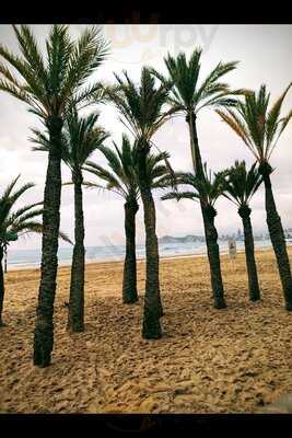 Poniente Beach Cerveceria And Cocteleria