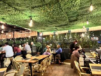 Láurel Piparras Bar