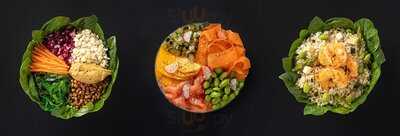 Camarasa Premium Salads