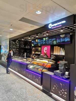 Camarasa Premium Salads