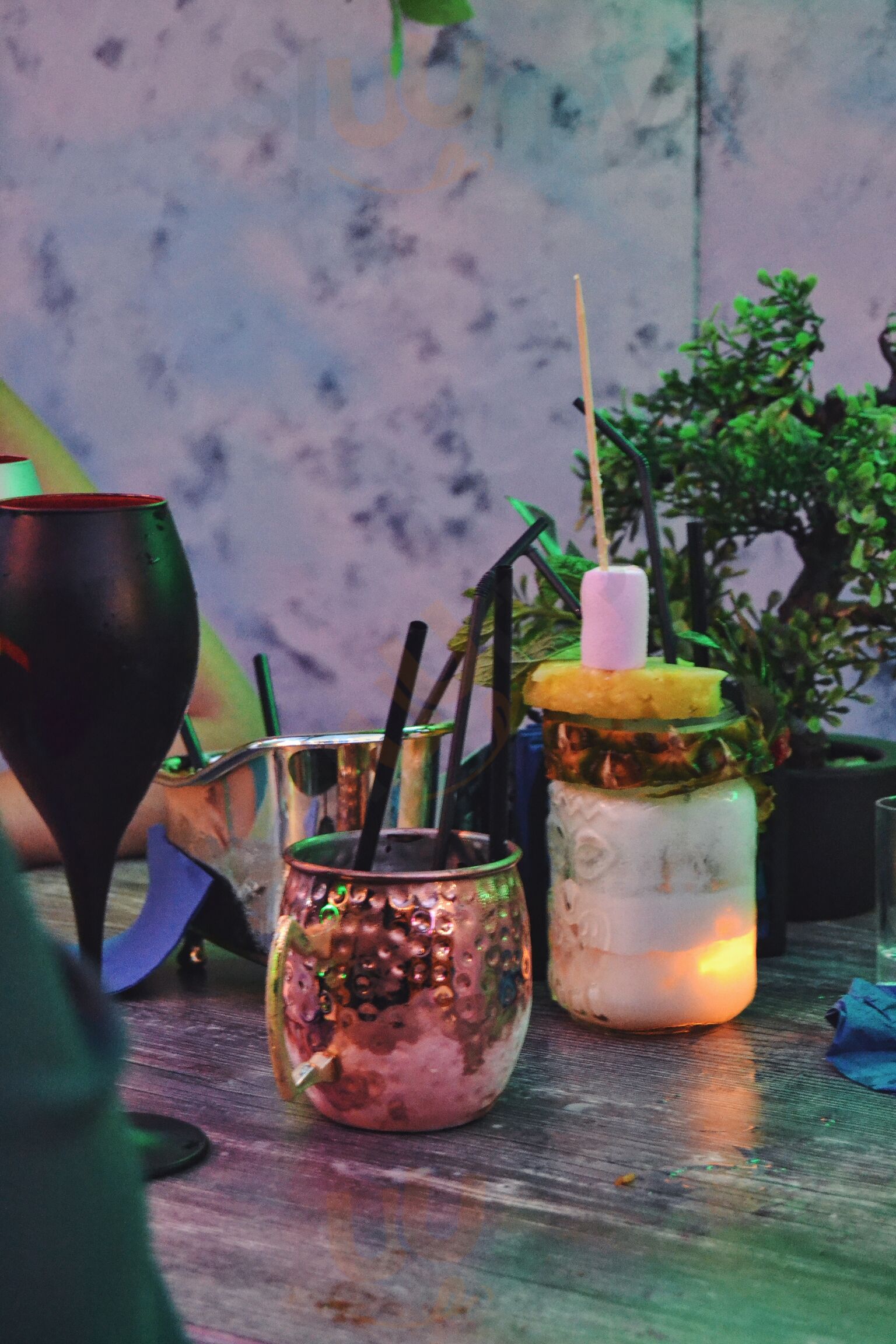 Bonsai Shisha Lounge