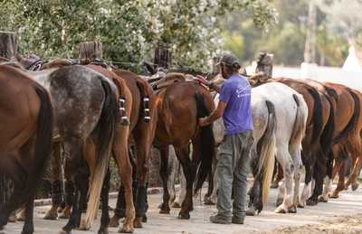 Asados At Polo Valley