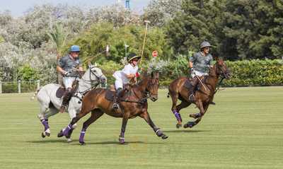 Asados At Polo Valley