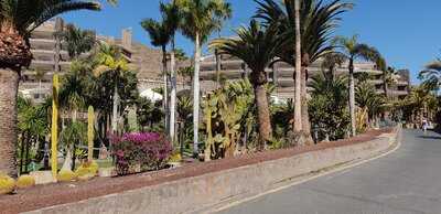 Tipsy Hammock Bar & Restaurant