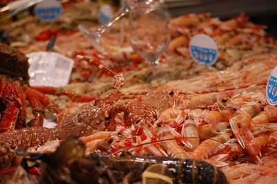 Pescados & Mariscos Inmar