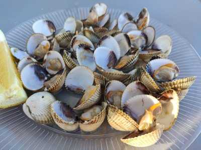 Marisquería Don Ramón