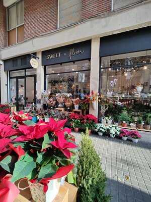 Sweet & Flower