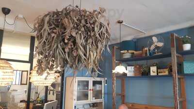 El Taller De Doña Hipólita