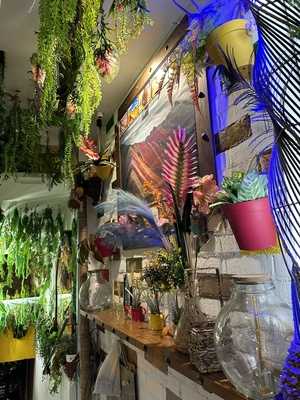 Entre Pisco Y Nazca Madrid - La República Del Pisco