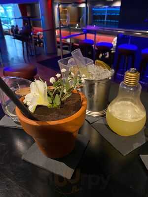 Lux Molecular Cocktail Bar