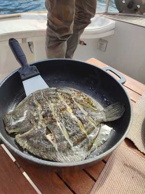 Urània Boat Restaurant