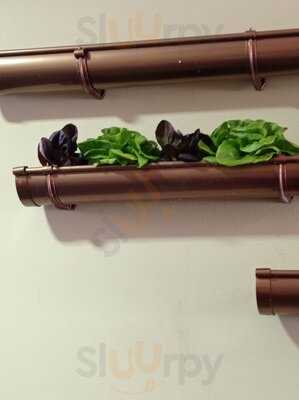 Taberna La Abuela Concha