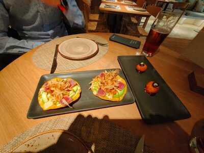 Saona Ortega Y Gasset