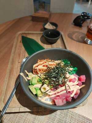 Saona Ortega Y Gasset