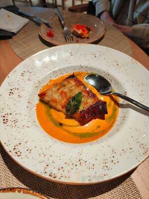 Saona Ortega Y Gasset