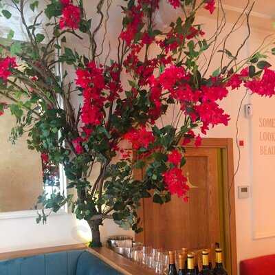 Restaurante Pipa Don Ramon