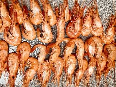 La Terraza De La Pescaderia