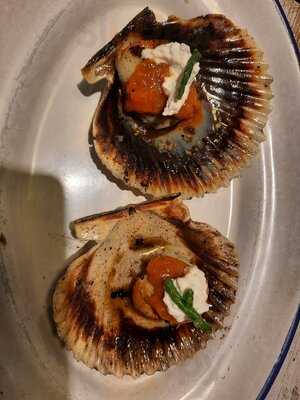 Volandeira Taberna De Morgana